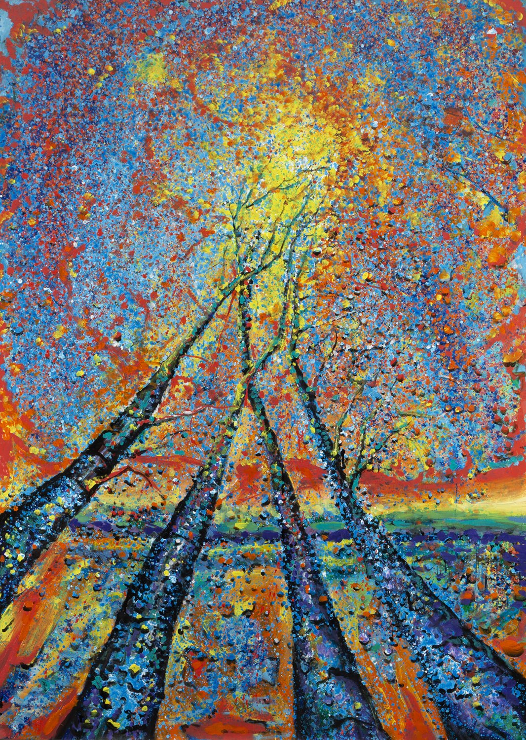 Drzewa o wschodzie słońca — Łukasz Jankiewicz (1975)